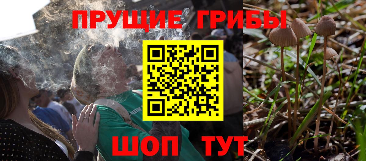 Галлюциногенные грибы MAGIC MUSHROOMS  Вход с VPN  Сухой Лог 